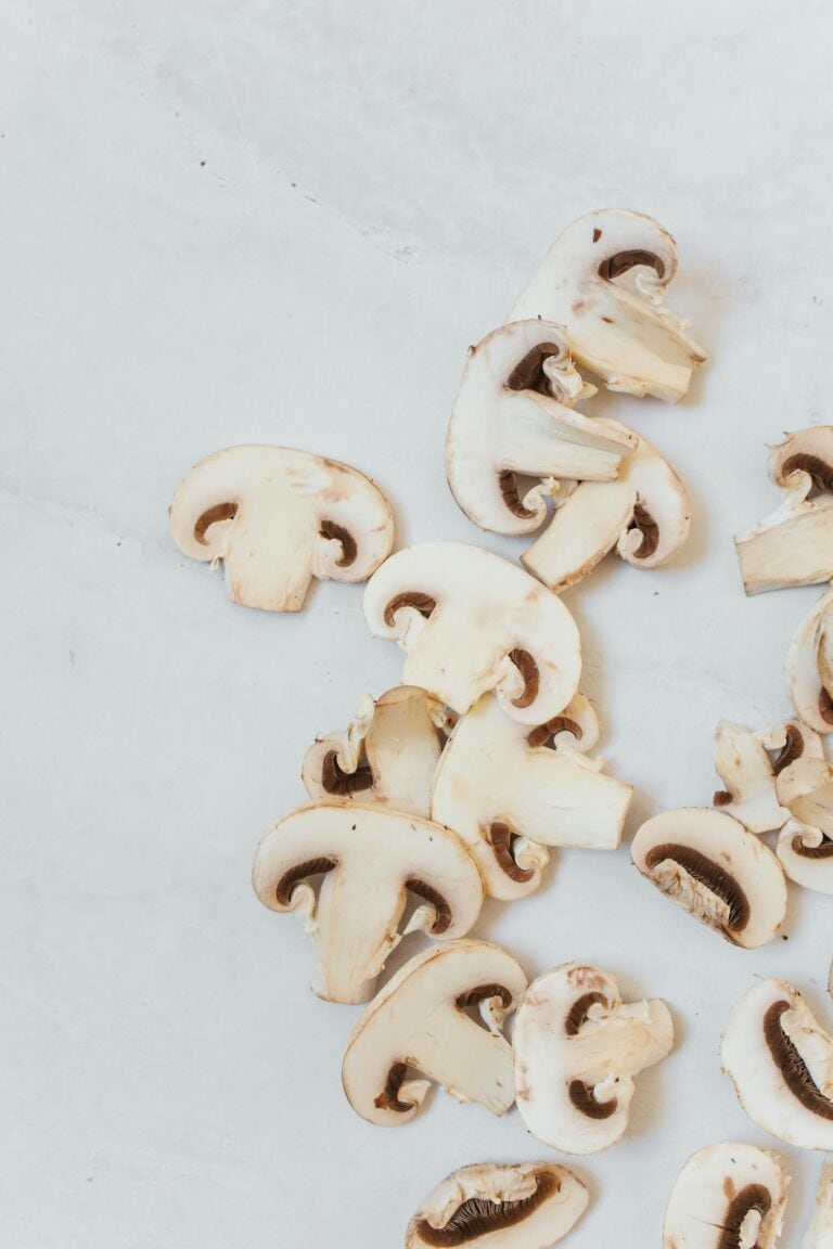 Slices of Fungi